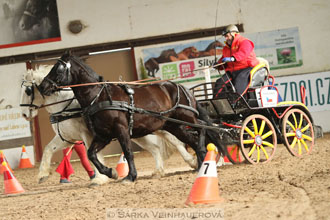 Zimní Jezdecký pohár spřežení 2016 -...