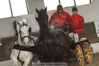 Zimní Jezdecký pohár spřežení 2016 -...