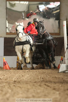 Zimní Jezdecký pohár spřežení 2016 -...