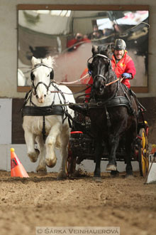 Zimní Jezdecký pohár spřežení 2016 -...