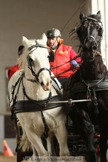 Zimní Jezdecký pohár spřežení 2016 -...