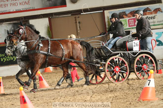 Zimní Jezdecký pohár spřežení 2016 -...
