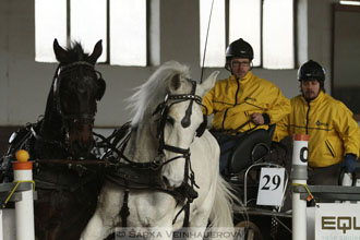 Zimní Jezdecký pohár spřežení 2016 -...