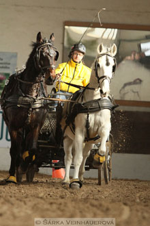 Zimní Jezdecký pohár spřežení 2016 -...