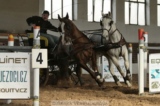 Zimní Jezdecký pohár spřežení 2016 -...