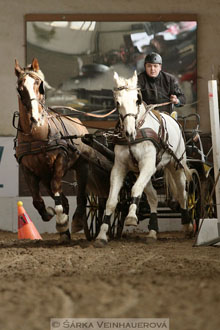 Zimní Jezdecký pohár spřežení 2016 -...