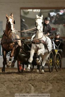 Zimní Jezdecký pohár spřežení 2016 -...