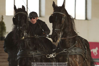 Zimní Jezdecký pohár spřežení 2016 -...