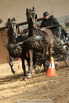 Zimní Jezdecký pohár spřežení 2016 -...