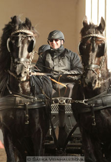 Zimní Jezdecký pohár spřežení 2016 -...