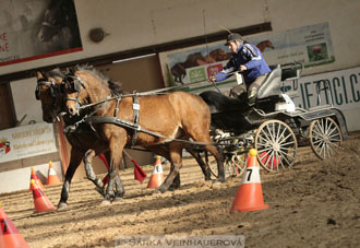 Zimní Jezdecký pohár spřežení 2016 -...