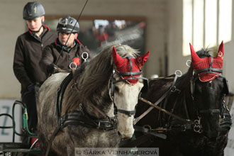 Zimní Jezdecký pohár spřežení 2016 -...
