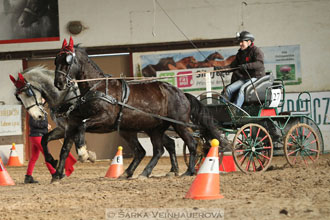 Zimní Jezdecký pohár spřežení 2016 -...