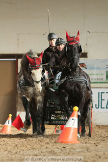 Zimní Jezdecký pohár spřežení 2016 -...