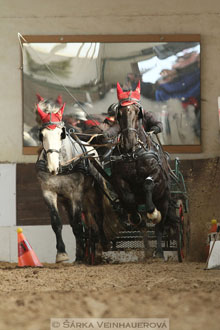 Zimní Jezdecký pohár spřežení 2016 -...