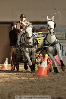 Zimní Jezdecký pohár spřežení 2016 -...