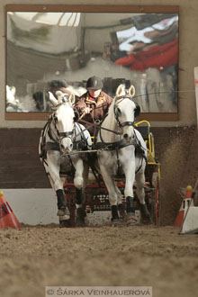 Zimní Jezdecký pohár spřežení 2016 -...