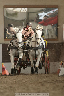 Zimní Jezdecký pohár spřežení 2016 -...