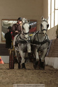 Zimní Jezdecký pohár spřežení 2016 -...