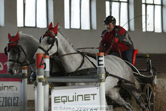 Zimní Jezdecký pohár spřežení 2016 -...