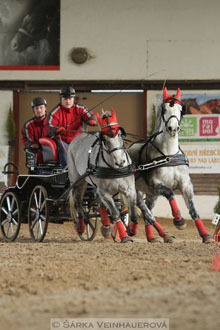 Zimní Jezdecký pohár spřežení 2016 -...