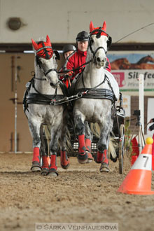 Zimní Jezdecký pohár spřežení 2016 -...