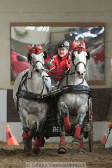 Zimní Jezdecký pohár spřežení 2016 -...