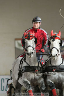 Zimní Jezdecký pohár spřežení 2016 -...