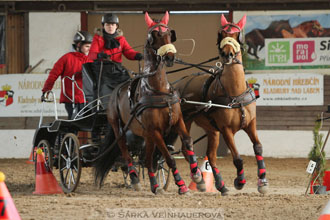Zimní Jezdecký pohár spřežení 2016 -...