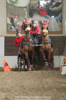 Zimní Jezdecký pohár spřežení 2016 -...