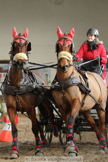 Zimní Jezdecký pohár spřežení 2016 -...