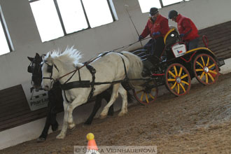 Zimní Jezdecký pohár spřežení 2016 -...