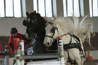 Zimní Jezdecký pohár spřežení 2016 -...