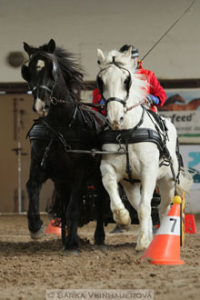 Zimní Jezdecký pohár spřežení 2016 -...