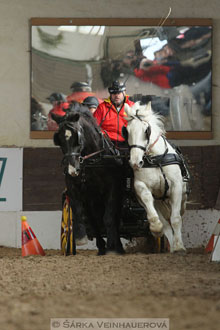 Zimní Jezdecký pohár spřežení 2016 -...