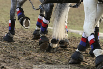 Zimní Jezdecký pohár spřežení 2016 -...