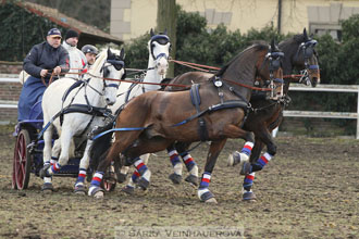 Zimní Jezdecký pohár spřežení 2016 -...