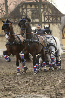 Zimní Jezdecký pohár spřežení 2016 -...