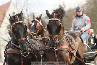 Zimní Jezdecký pohár spřežení 2016 -...