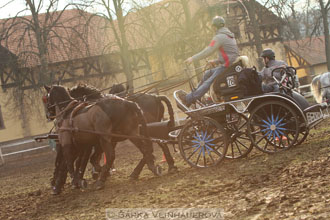 Zimní Jezdecký pohár spřežení 2016 -...