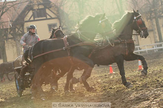 Zimní Jezdecký pohár spřežení 2016 -...