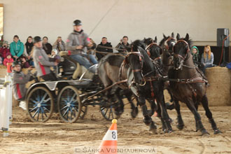 Zimní Jezdecký pohár spřežení 2016 -...