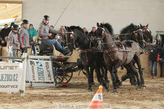 Zimní Jezdecký pohár spřežení 2016 -...