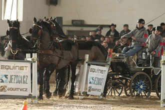 Zimní Jezdecký pohár spřežení 2016 -...