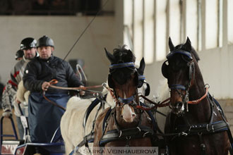 Zimní Jezdecký pohár spřežení 2016 -...