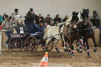 Zimní Jezdecký pohár spřežení 2016 -...