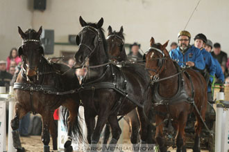 Zimní Jezdecký pohár spřežení 2016 -...