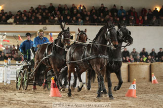 Zimní Jezdecký pohár spřežení 2016 -...