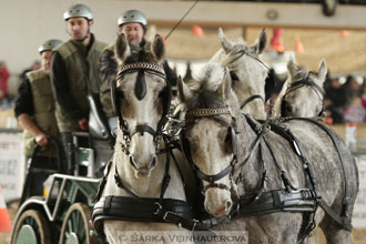 Zimní Jezdecký pohár spřežení 2016 -...