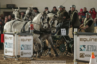 Zimní Jezdecký pohár spřežení 2016 -...